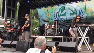 The Movement - Blinded