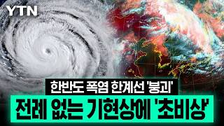 42.5도까지 치솟았다…한반도 폭염 한계선 무너뜨린 '기현상' [이슈픽] / YTN