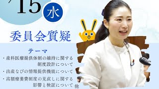 2026.4.15.国民民主党日野紗里亜衆議院議員の厚生労働委員会質疑