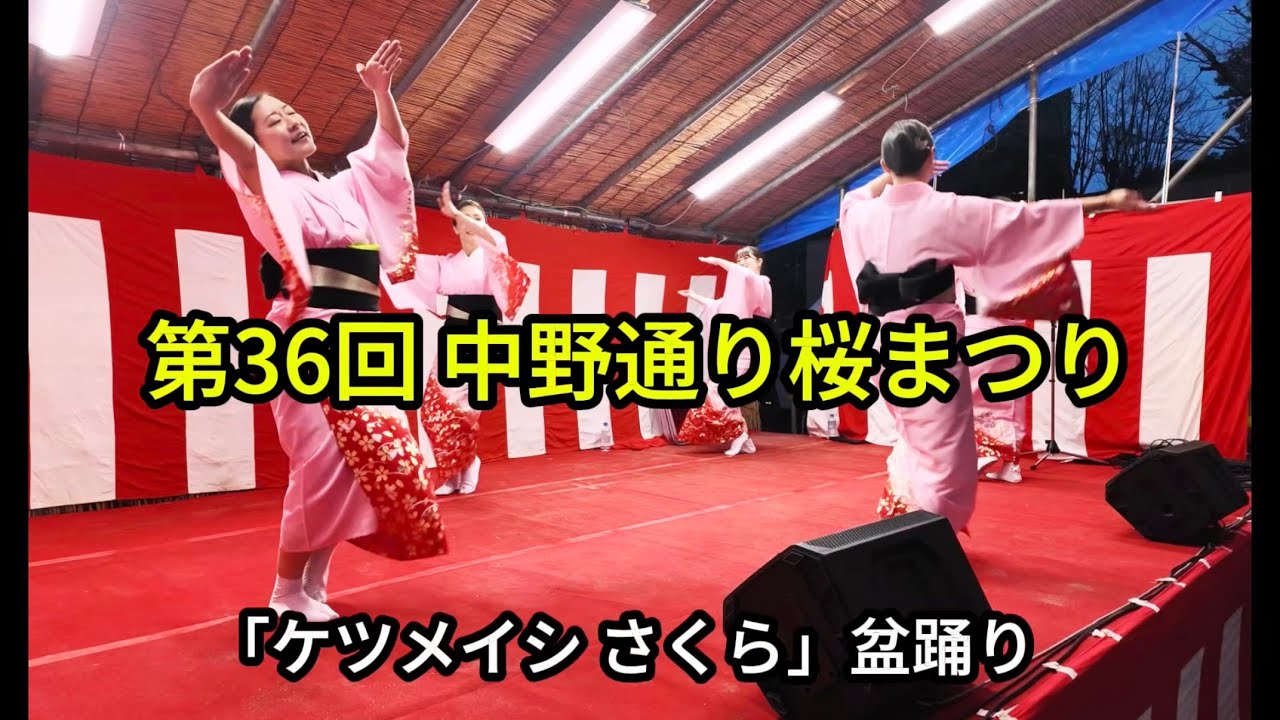 【ケツメイシさくら】盆踊り　第36回 中野通り桜まつり