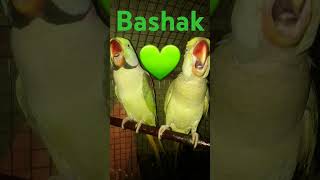 Download lagu Surah Nissa #love #quotes #motivation #bayan #islamicquotes #salamghazi7 #automobile #allbayan #love mp3