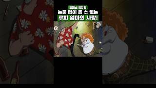 원피스) 눈물 없이 볼 수 없는 루피 엄마의 사랑! #onepiece #원피스