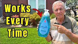 Secrets To a Greener Lawn ALL Summer (EASY DIY)