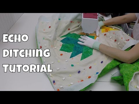 Ruler Foot Quilting Basics and Echo Ditching Tutorial with Leah Day