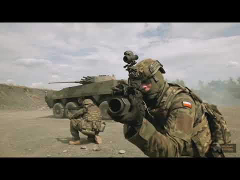 Tormentia-Wojsko Polskie