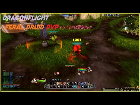 [WoW 10.0] DragonFlight Feral Druid PvP Montage (야드, Zsw) - Evoker