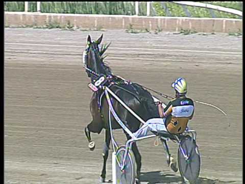 Trotto 19/05/2017 - 2ª corsa