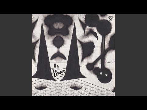 el entierro de los gatos