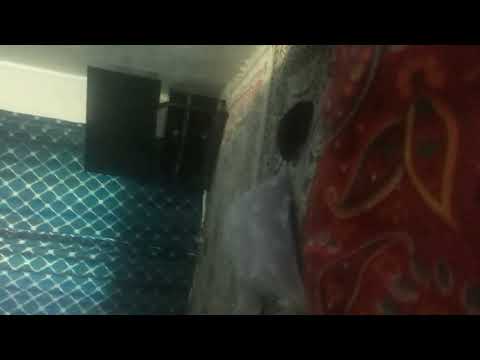 10 июля 2022 г.