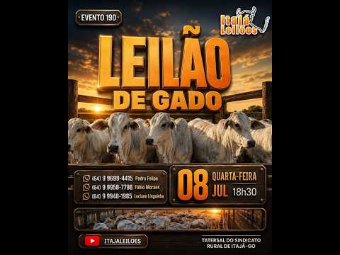 LEILAO DE GADO DA ITAJÁ LEILÔES
