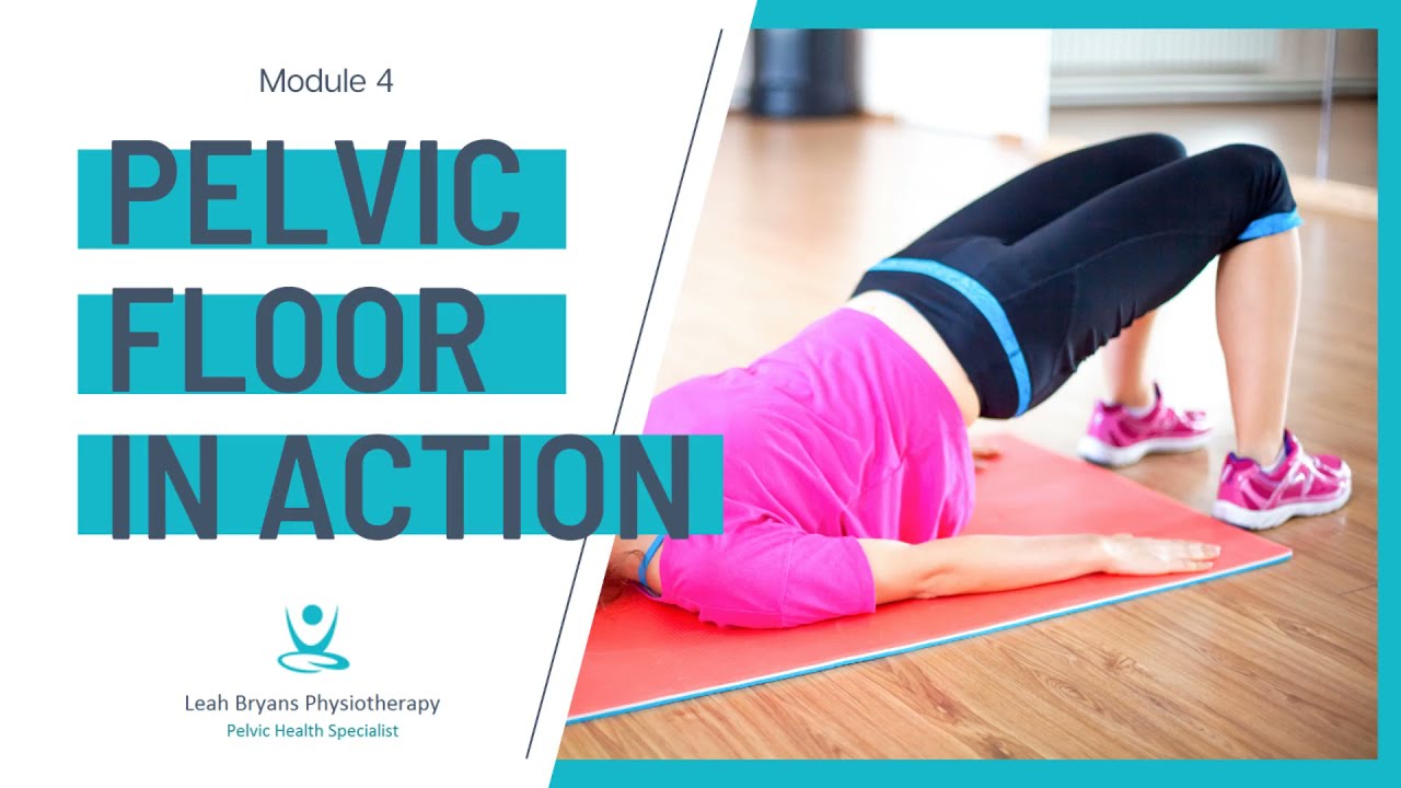 Module 4 - The Pelvic Floor In Action | Postnatal Essentials for Pilates and Fitness Professionals
