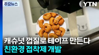 캐슈넛 껍질로 테이프 만든다...친환경 접착제 개발 / YTN