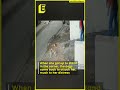 Viral Street Dogs Attack College Student