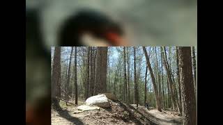 The Dragon Trail - Section 9 & 10