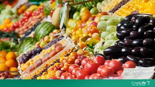 Enhancing Food Access