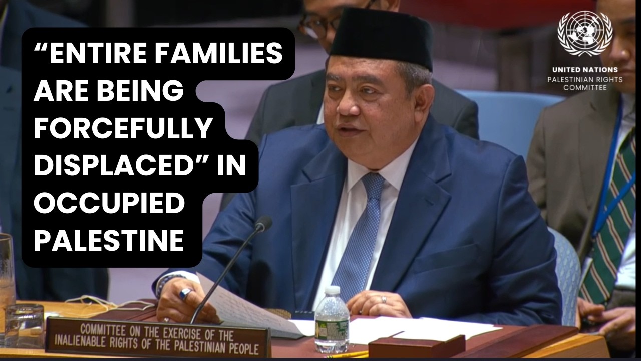 Entire families are being forcefully displaced, warns UN Palestine Committee at the Security Council