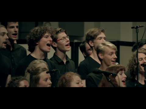 Touch the Stars - Wouter Hamel (Orchestral Version) | Arr.  Hedwig Kok