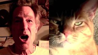 When CAT LOVERs Go Marching In