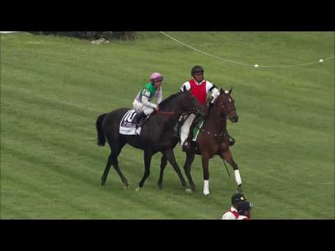 Flintshire Looks Formidable in 2016 Sword Dancer