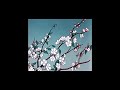 Nujabes Playlist