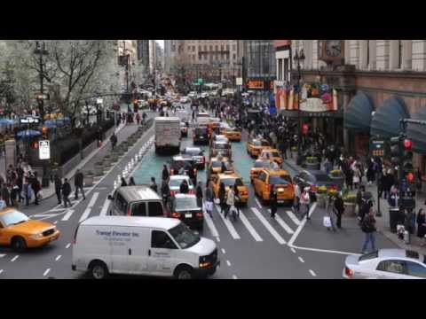 Canine Desensitization to City Sounds