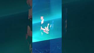 Download lagu Hillary Ang Solo Kau Pergi @ Datuk Amy Search @ Konsert Amy Magic 2025 ( Upper View ) mp3 Download lagu Hillary Ang Solo Kau Pergi @ Datuk Amy Search @ Konsert Amy Magic 2025 ( Upper View ) mp3