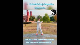 Tai Chi Cloud Hands demonstration thumbnail