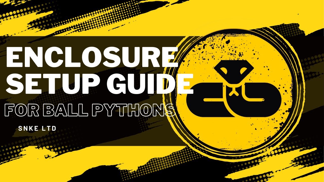 HOW TO SETUP YOUR 1ST BALL PYTHON ENCLOSURE - THE ULTIMATE BEGINNER'S GUIDE - CARESHEET BELOW