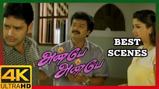 Anbe Anbe Tamil Movie 4K  Best Scenes Compilation 