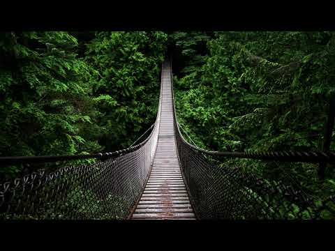 Prince Quick Mix feat. Chronik - Over The Edge (ID Remix) [GDJB 2005.08.18 Rip]