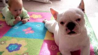 [Ed. note: More proof that dogs are better than babies. Never trust a baby to do a dog's work.]