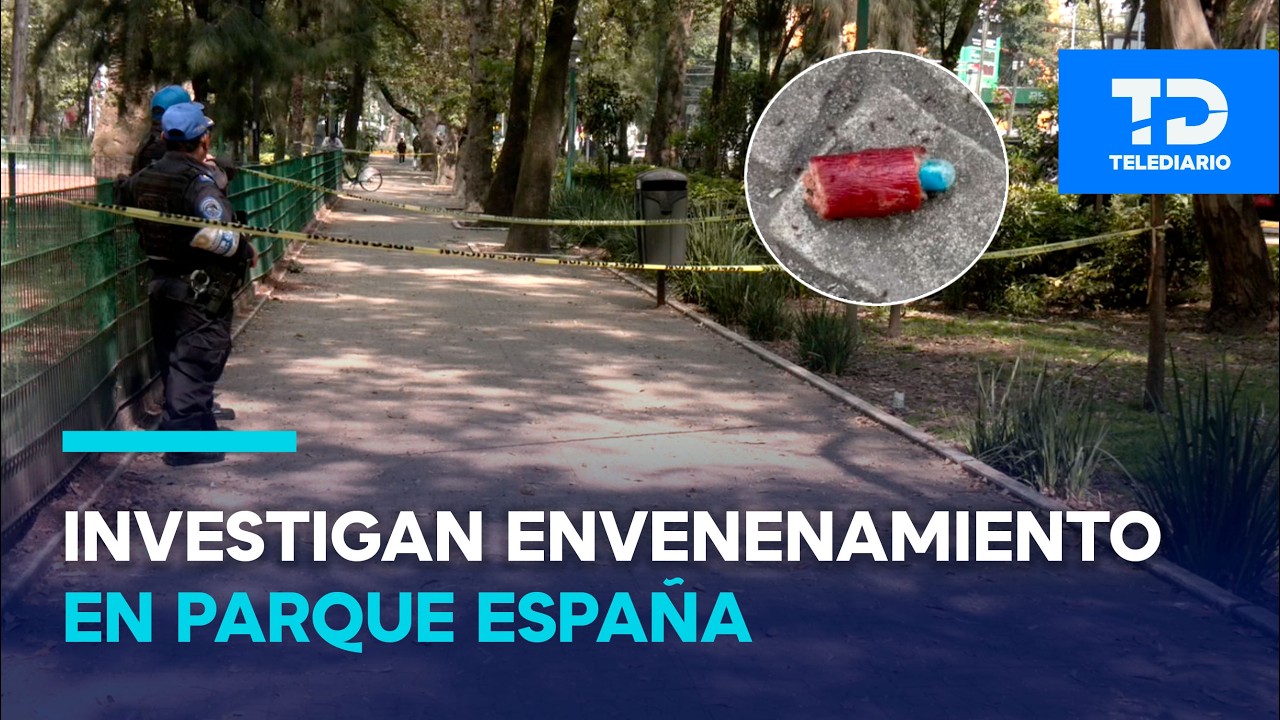 Envenenamiento de perros en Parque España: Fiscalía de CDMX abre investigación