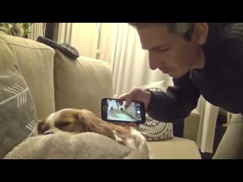 VIVEGAM - OFFICIAL TEASER | AJITH KUMAR |