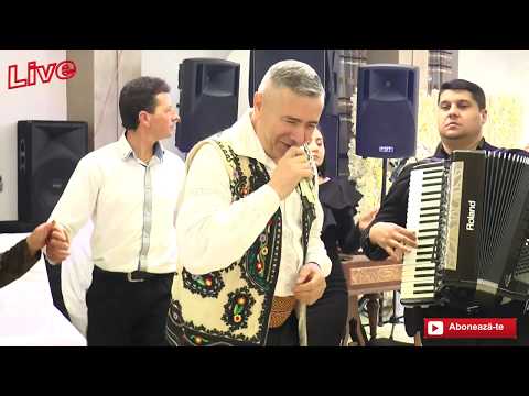 NELU BITINA 2020 HORE SI SARBE 2020 MUZICA DE PETRECERE 2020 COLAJ 2020