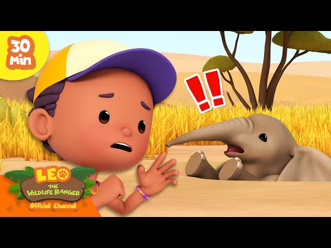 Witness21 Editor  2024 05 09