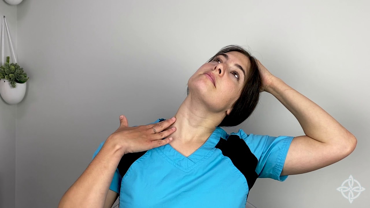 Seated Neck Mobility & Stretches