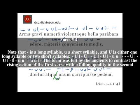 Elegiac couplet Top # 6 Facts