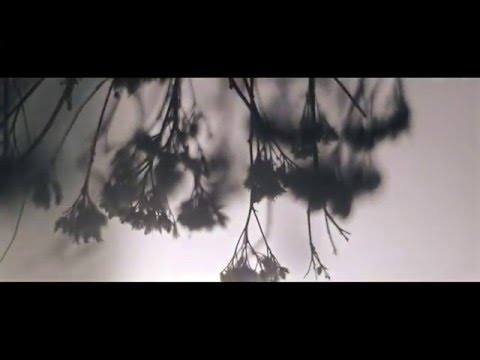 NØIRE - HIDE (Official Video)