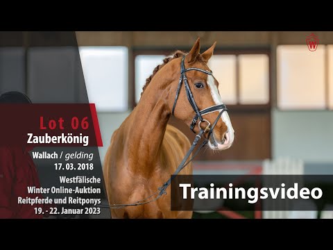 Winter Online-Auktion Training Lot 6 Zauberkönig Wallach v. Zoom - Rock Forever I