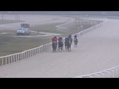 2018.11.25. 06. futam - ZBORAY LÁSZLÓ EMLÉKVERSENY - ÜRMÉNYI DÍJ (I.kat.)(szintetikus pálya)