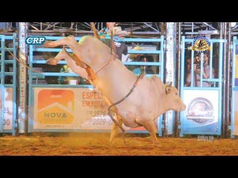 Rodeio de Osvaldo Cruz 2017 - MELHORES TOUROS / SÁBADO