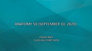 Anatomy 50 (September 10, 2020)