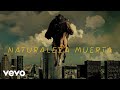 Gustavo Cerati - Naturaleza Muerta (Official Audio)