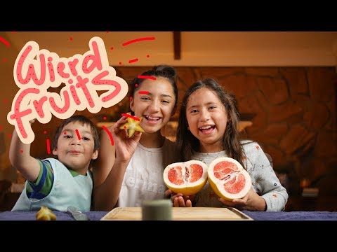 Weird Fruits w/ Dr.Noob and Dr.Bunny