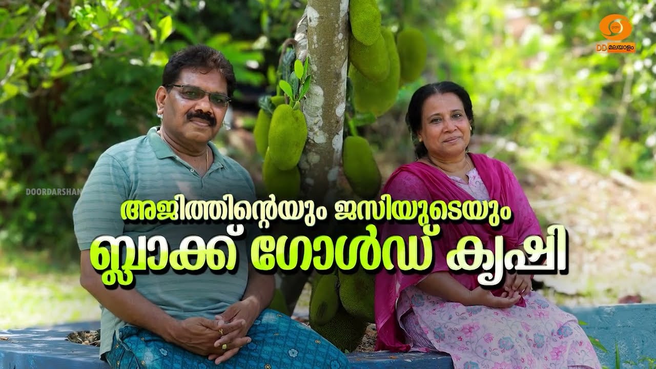 അജിത്തിന്റെയും ജസ്സിയുടെയും ബ്ലാക്ക് ഗോൾഡ് കൃഷി