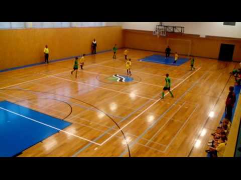 TJ Sokol Nepolisy - FK Vysoká nad Labem xvid