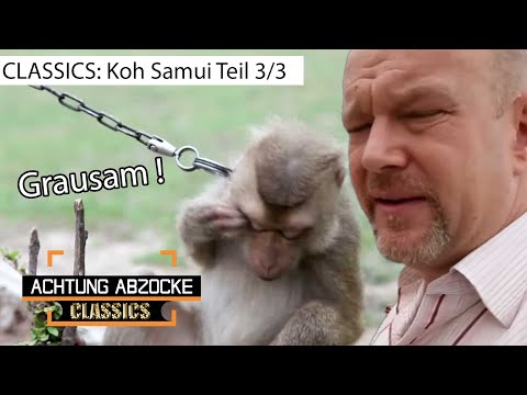Tierquälerei! Fragwürdige "Affenshows" auf Koh Samui l 3/3 l Achtung Abzocke CLASSICS | Kabel Eins