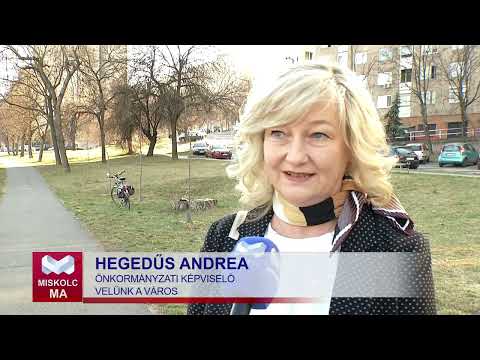 Videó előnézet