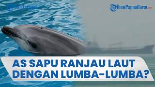 Skenario Tak Konvensional AS: Pakai Lumba-lumba Militer Deteksi Ranjau Iran di Selat Hormuz