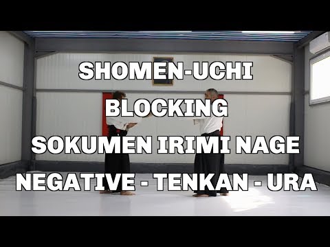 Shomen-Uchi, Blocking, Sokumen Irimi Nage, Negative - Tenkan - Ura / Aikido techniques